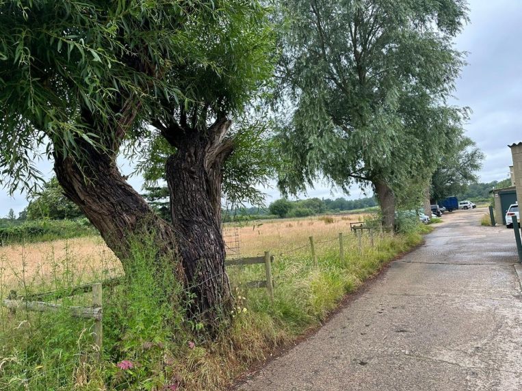 Property 3213 - image 1